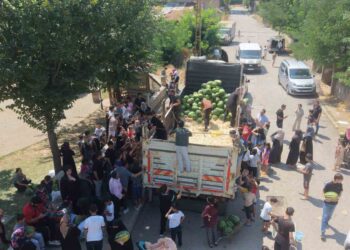 Muş'ta, 8 Mahalleye 8 Kamyon Yerli Karpuz Ücretsiz Dağıtıldı! Muş’ta, 8 Mahalleye 8 Kamyon Yerli Karpuz Ücretsiz Dağıtıldı!