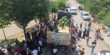 Muş'ta, 8 Mahalleye 8 Kamyon Yerli Karpuz Ücretsiz Dağıtıldı! Muş’ta, 8 Mahalleye 8 Kamyon Yerli Karpuz Ücretsiz Dağıtıldı!