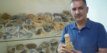 Muş'ta, Çobanlıktan Taş Koleksiyonerliğine Uzanan 40 Yıllık Bir Yaşam Öyküsü! Muş’ta, Çobanlıktan Taş Koleksiyonerliğine Uzanan 40 Yıllık Bir Yaşam Öyküsü!