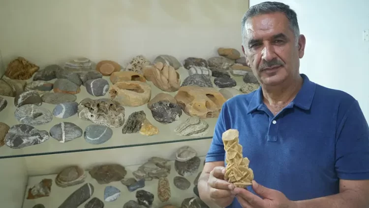 Muş'ta, Çobanlıktan Taş Koleksiyonerliğine Uzanan 40 Yıllık Bir Yaşam Öyküsü! musta cobanliktan tas koleksiyonerligine uzanan 40 yillik bir yasam oykusu habermeydan