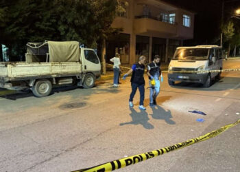 Muş'ta Feci Kaza: Kargo Aracı Koyun Sürüsüne Çarptı Muş’ta Feci Kaza: Kargo Aracı Koyun Sürüsüne Çarptı