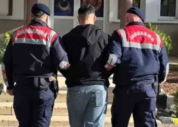 Muş’ta, Firari Hayvan Hırsızı Jandarma Ekiplerince Yakalandı!