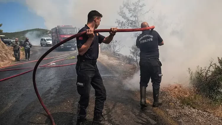 Türkiye'de peş peşe orman yangınları...