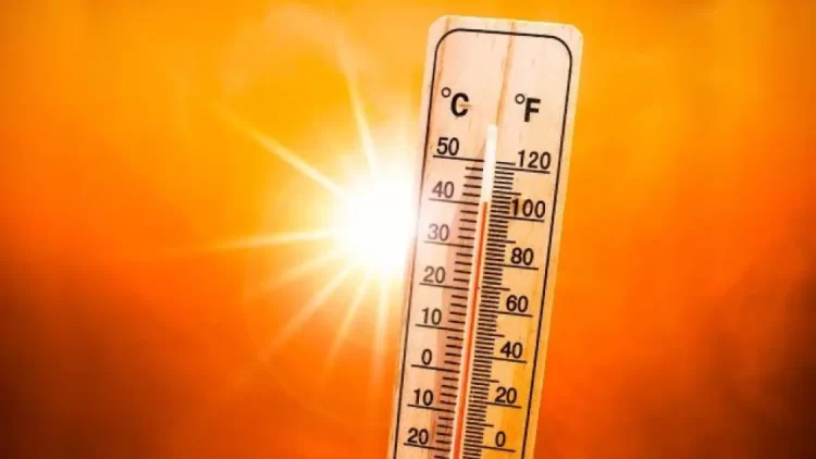122 yıl sonra rekor sıcaklık: Termometreler 42 dereceyi aştı Termometreler 42 dereceyi aştı.