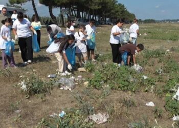 Sinoplu Minik Eller, Akliman'da Kum Zambaklarına Nefes Oldular! Sinoplu Minik Eller, Akliman’da Kum Zambaklarına Nefes Oldular!