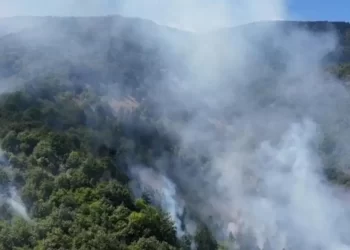 Sinop'ta Korkutan Orman Yangını: 30 Hektar Alan Alevlere Teslim Oldu Sinop’ta Korkutan Orman Yangını: 30 Hektar Alan Alevlere Teslim Oldu