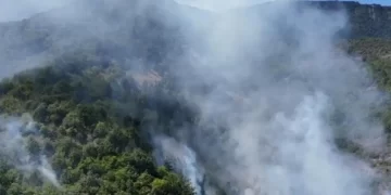 Sinop'ta Korkutan Orman Yangını: 30 Hektar Alan Alevlere Teslim Oldu Sinop’ta Korkutan Orman Yangını: 30 Hektar Alan Alevlere Teslim Oldu