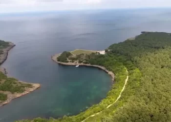 Sinop'ta, Orman Yangınlarına Karşı Dev Kadro Sahada! Sinop’ta, Orman Yangınlarına Karşı Dev Kadro Sahada!