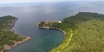 Sinop'ta, Orman Yangınlarına Karşı Dev Kadro Sahada! Sinop’ta, Orman Yangınlarına Karşı Dev Kadro Sahada!