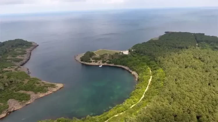 Sinop'ta, Orman Yangınlarına Karşı Dev Kadro Sahada! sinopta orman yanginlarina karsi dev kadro sahada habermeydan