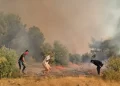 Antalya ve Adana’da yangın alarmı: Alevler yerleşim yerlerine yaklaştı