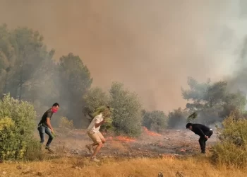 Antalya ve Adana’da yangın alarmı: Alevler yerleşim yerlerine yaklaştı