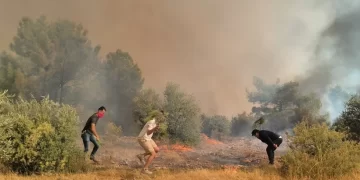 Antalya ve Adana’da yangın alarmı: Alevler yerleşim yerlerine yaklaştı