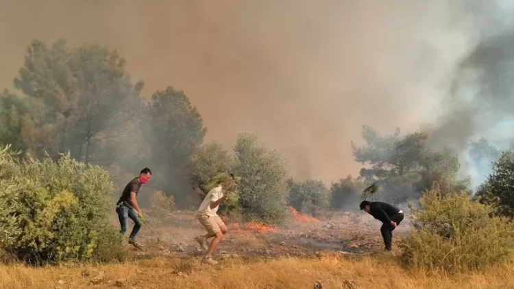 Antalya ve Adana'da yangın alarmı: Alevler yerleşim yerlerine yaklaştı Antalya ve Adanada yangin habermeydan