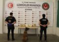 Gümrük ekiplerinden 8 ayda 81,9 milyar TL’lik kaçakçılık operasyonu Gümrük ekiplerinden 8 ayda 81,9 milyar TL’lik kaçakçılık operasyonu