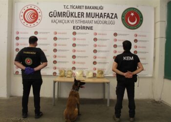 Gümrük ekiplerinden 8 ayda 81,9 milyar TL’lik kaçakçılık operasyonu Gümrük ekiplerinden 8 ayda 81,9 milyar TL’lik kaçakçılık operasyonu