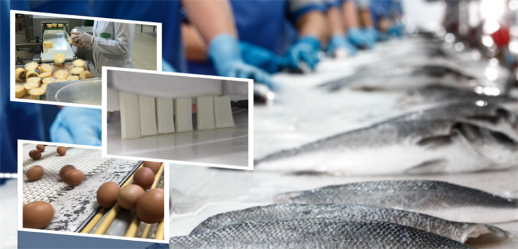 IPARD-III Ödemeleri Ağustosta 844,5 Milyon Liraya Ulaştı IPARD III Odemeleri habermeydan