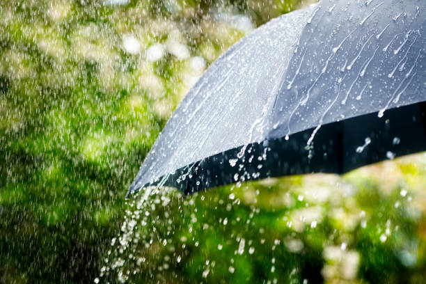 Meteoroloji Uyardı: 6 Bölgede Kuvvetli Rüzgâr, Karadeniz’de Sağanak Bekleniyor Meteoroloji33 habermeydan