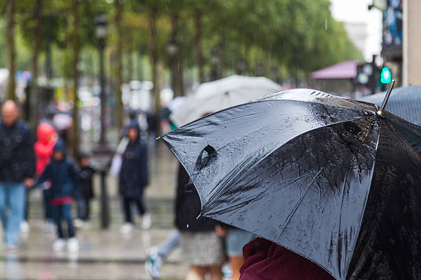 Meteoroloji’den 4 il için sarı kodlu alarm: Kuvvetli yağış geliyor Meteoroloji36 habermeydan