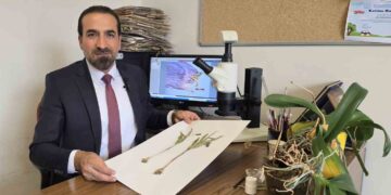 Dünyada Sadece Muş'un Kurtik Dağı'nın Zirvesinde Yetişen 'Muş Ters Lalesi' Keşfedildi! Dünyada Sadece Muş’un Kurtik Dağı’nın Zirvesinde Yetişen ‘Muş Ters Lalesi’ Keşfedildi!