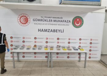 Edirne’de gümrüklerde büyük uyuşturucu operasyonu: 174 kilodan fazla uyuşturucu ele geçirildi