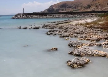 İklim krizi alarmı: 5 ülke için tahliye kararı İklim krizi alarmı: 5 ülke için tahliye kararı