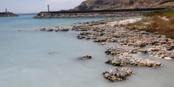 İklim krizi alarmı: 5 ülke için tahliye kararı