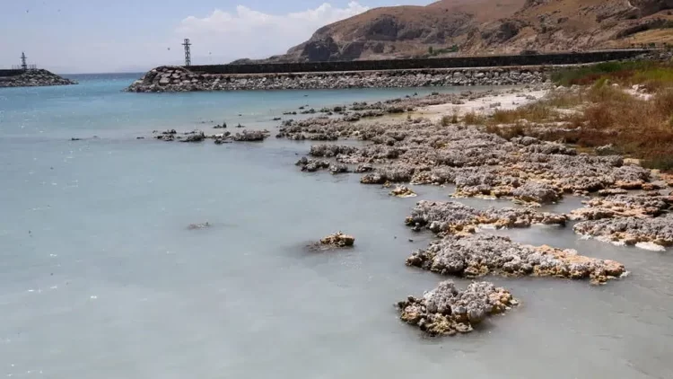 İklim krizi alarmı: 5 ülke için tahliye kararı 5 ülke için tahliye kararı...