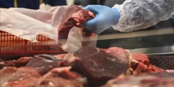 Kırmızı ette yeni dönem: Sığır karkasının pazar fiyatı sıcak ağırlığa göre belirlenecek Kırmızı ette yeni dönem: Sığır karkasının pazar fiyatı sıcak ağırlığa göre belirlenecek