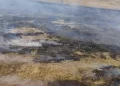 Muş’ta, İki Ayrı Noktada Anız Yangını Paniği! Meyve Ağaçları Kül Oldu
