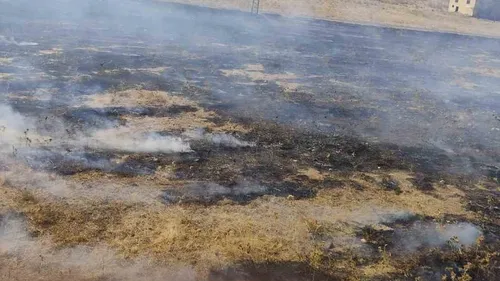 musta iki ayri noktada aniz yangini panigi meyve agaclari kul oldu habermeydan