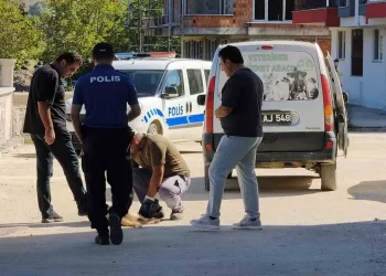 Sinop Erfelek'te Silahlı Dehşet: Sokak Köpeği Katledildi! Sinop Erfelek’te Silahlı Dehşet: Sokak Köpeği Katledildi!