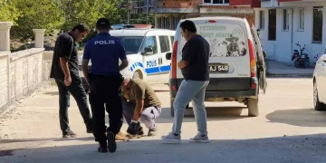 Sinop Erfelek'te Silahlı Dehşet: Sokak Köpeği Katledildi! Sinop Erfelek’te Silahlı Dehşet: Sokak Köpeği Katledildi!