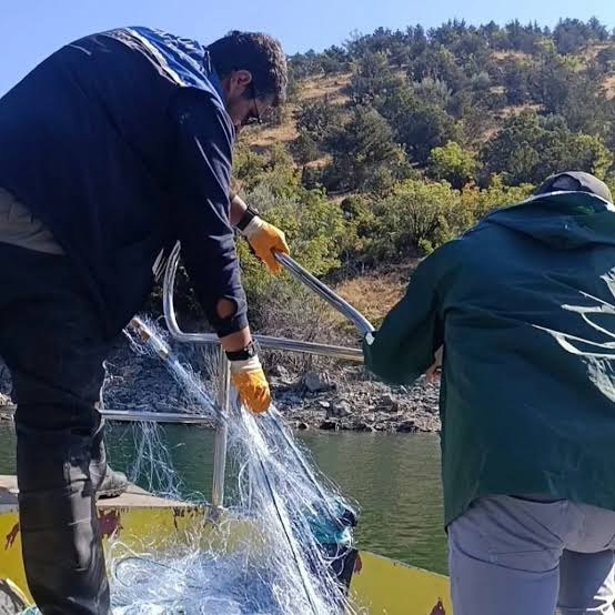 Sinop Saraydüzü'nde, Kaçak Avcılara Geçit Yok! sinop sarayduzunde kacak avcilara gecit yok habermeydan 1
