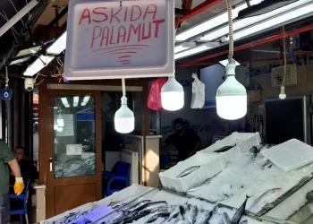 Sinop'ta, Balıkçı Esnafından 'Askıda Palamut' Hamlesi! Sinop’ta, Balıkçı Esnafından ‘Askıda Palamut’ Hamlesi!