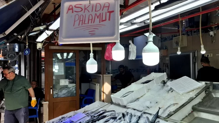 Sinop'ta, Balıkçı Esnafından 'Askıda Palamut' Hamlesi! sinopta balikci esnafindan askida palamut hamlesi habermeydan