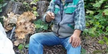 Sinop’ta, Devrilen Traktörün Altında Kalan Orman İşçisi Hayatını Kaybetti!