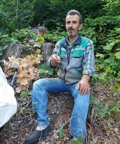 Sinop'ta, Devrilen Traktörün Altında Kalan Orman İşçisi Hayatını Kaybetti! sinopta devrilen traktorun altinda kalan orman iscisi hayatini kaybetti habermeydan 1 e1789571381667