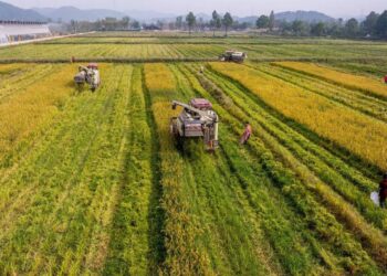 Sinop’ta, 24 Projeye 67 Milyon Liralık Hibe Desteği!
