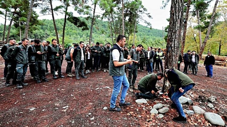 Sinop'ta, Orman Personeline Dijital Takip Sistemi 'ORKOD' Eğitimi! sinopta orman personeline dijital takip sistemi orkod egitimi habermeydan