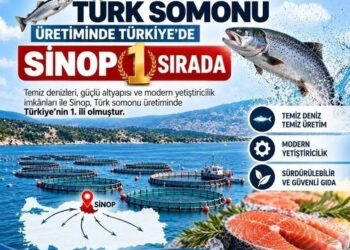 Türk Somonu Sinop'tan Dünya Pazarlarına! Türk Somonu Sinop’tan Dünya Pazarlarına!