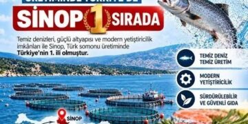 Türk Somonu Sinop’tan Dünya Pazarlarına!