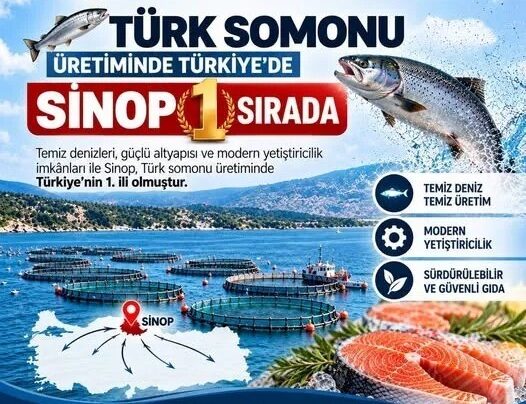 Türk Somonu Sinop'tan Dünya Pazarlarına! turk somonu sinoptan dunya pazarlarina habermeydan e1790693992518