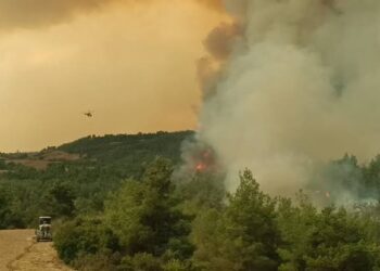 Antalya ve Adana alevlerle mücadele ediyor: Yangınların dumanı kentlere ulaştı Antalya ve Adana alevlerle mücadele ediyor: Yangınların dumanı kentlere ulaştı