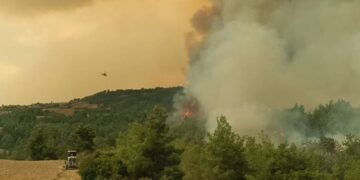 Antalya ve Adana alevlerle mücadele ediyor: Yangınların dumanı kentlere ulaştı Antalya ve Adana alevlerle mücadele ediyor: Yangınların dumanı kentlere ulaştı