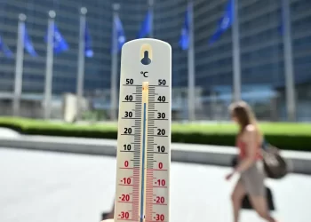 Avrupa'da sıcaklık alarmı: Kuraklık nehirleri kurutuyor Avrupa’da sıcaklık alarmı: Kuraklık nehirleri kurutuyor
