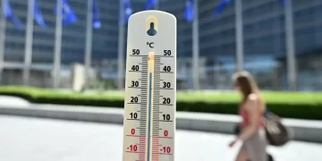 Avrupa'da sıcaklık alarmı: Kuraklık nehirleri kurutuyor Avrupa’da sıcaklık alarmı: Kuraklık nehirleri kurutuyor