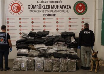 Sarp, İpsala ve Kapıkule’de uyuşturucu operasyonu: 935 bini aşkın hap ve yüzlerce kilo madde ele geçirildi Sarp, İpsala ve Kapıkule’de uyuşturucu operasyonu: 935 bini aşkın hap ve yüzlerce kilo madde ele geçirildi