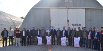 Muş Bulanık'ta, Çiftçiye 30 Ton Mercimek Desteği! Muş Bulanık’ta, Çiftçiye 30 Ton Mercimek Desteği!