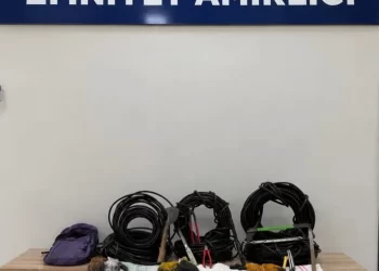 Muş Hasköy’de, Kablo Hırsızlığına Suçüstü!
